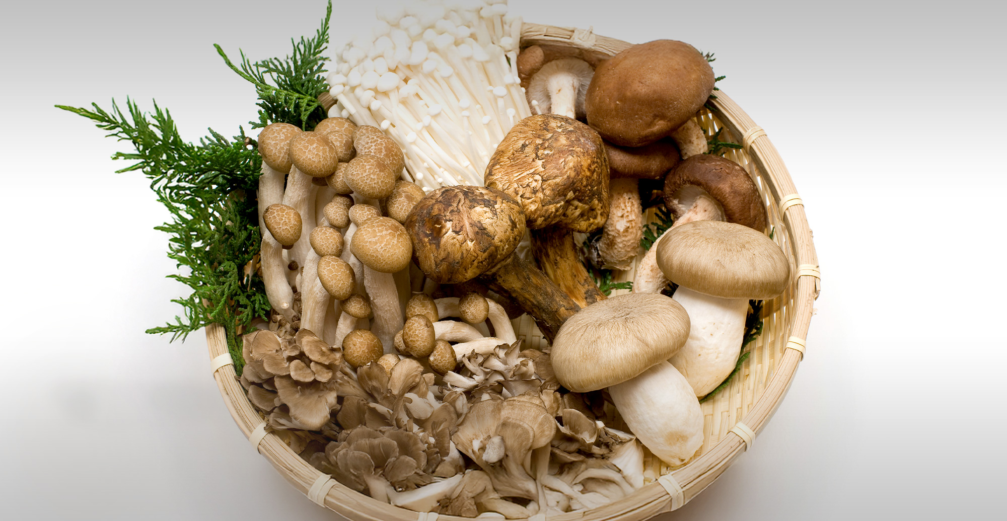 旬も、品質も、確かなものを。 全国各地から、厳選した野菜をお届け。