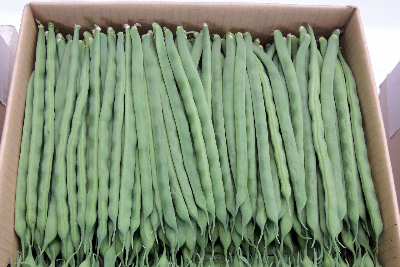 AdobeStock_205778105