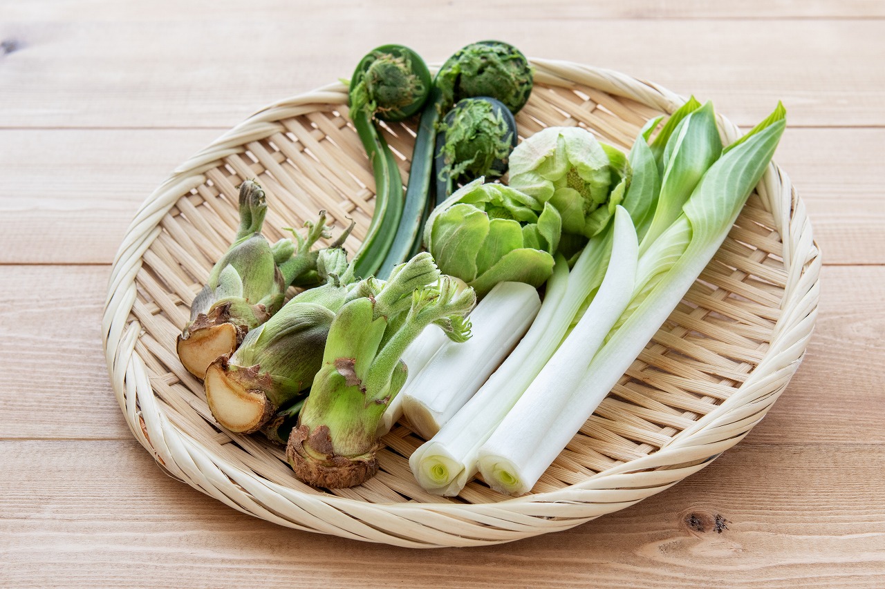 AdobeStock_257804125