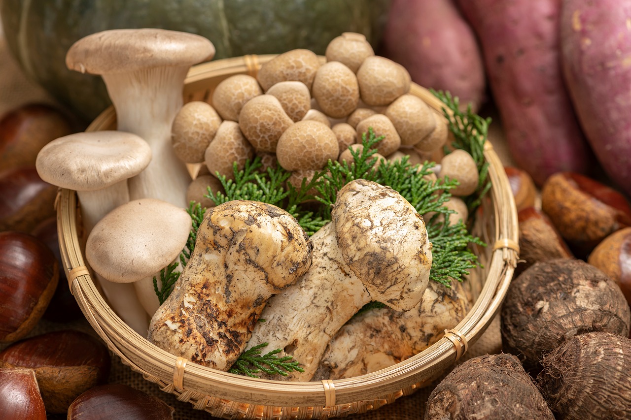 AdobeStock_391941319